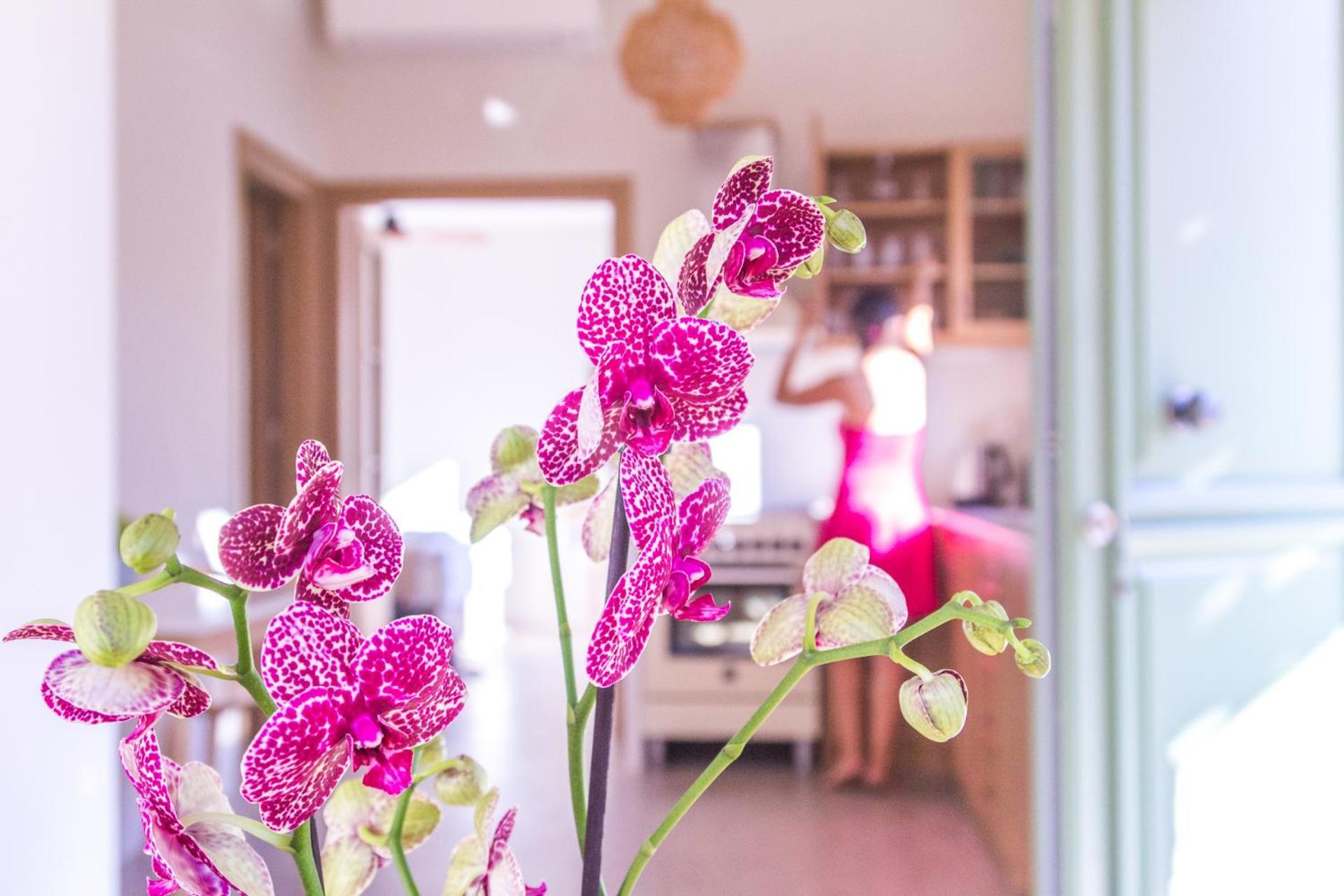 Petra Boutique Villas Arginonda Pokoj fotografie